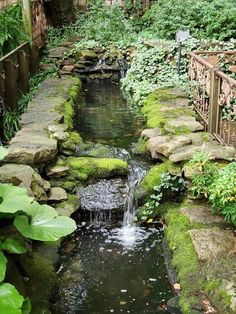 a small stream running through a lush green garden