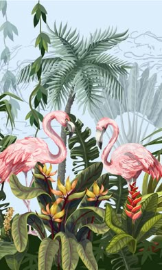 three pink flamingos are standing in the jungle