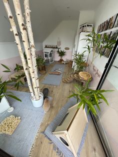 a room with wooden floors and plants in it