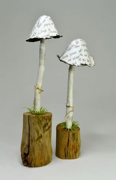 two small white mushrooms sitting on top of wooden stumps