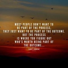 birds flying in the sky at sunset with a quote about people don't want to be part of the process they just want to be part of the process