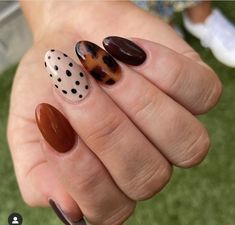 Tortishell Nails Design, Spot Nails, Fall Transition Nails, Monochromatic Nails, Really Cute Nails, Cute Gel Nails, Shellac Nails, Glam Nails