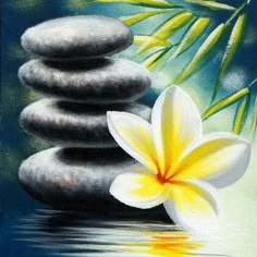 an acrylic painting of flowers and rocks on the water with bamboo in the background