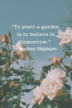 some white flowers and a blue sky with the quote to plant a garden is to believe in tomorrow