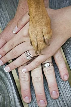 two people holding hands with their dog's paw on top of each others hand