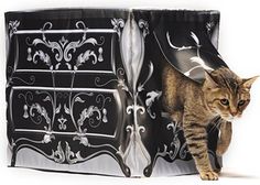 a cat is standing in front of a black and white dresser with ornate designs on it