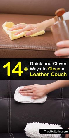 how to clean leather couch with the help of a cleaning brush and cloth on top