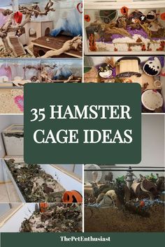 the cover of 35 hamster cage ideas with pictures of different animals and plants in them