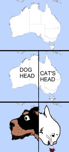 a dog and cat face to face with the map of australia in the back ground