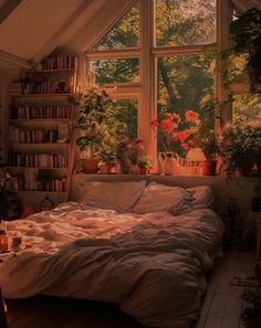 an unmade bed sitting in front of a window filled with plants and bookshelves