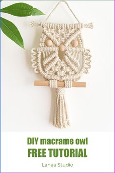 a macrame owl is hanging on a wall with text overlay that reads diy macrame owl free crochet pattern