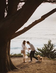 Surprise Proposal Photography Low Key Proposal, Sunset Proposal Pictures, Big Sur Proposal, Lowkey Proposal, Beach Sunset Proposal, Proposal Aesthetic Faceless, Proposal Photos Surprise, Tennessee Proposal, Dock Proposal