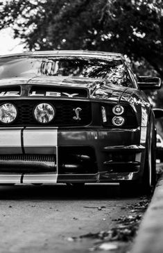 a black and white photo of a mustang