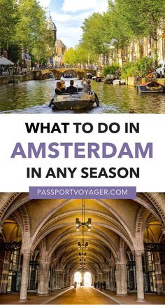 what to do in amsterdam in any season