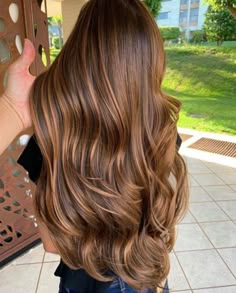 Highlights For Dark Hair, Chestnut Brown Hair, Chestnut Hair, Hair Color Caramel, Caramel Hair, Long Hair Color, Hair Color Shades, Honey Hair