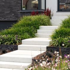 the steps are lined with plants and flowers