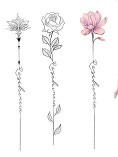 four different types of flowers are shown in the same drawing style, each with their own name