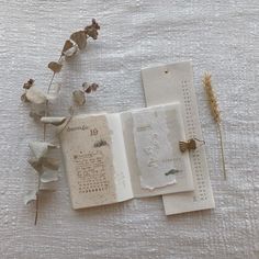 an open book sitting on top of a table next to some dried flowers and leaves