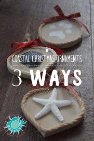 three seashells with starfish on them and the words coastal christmas ornaments 3 ways