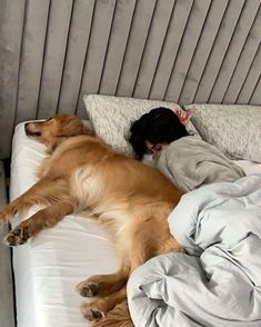 a dog laying on top of a bed next to a person sleeping in the back