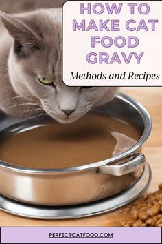 a cat is looking down at food in a pan with the words how to make cat food gravy