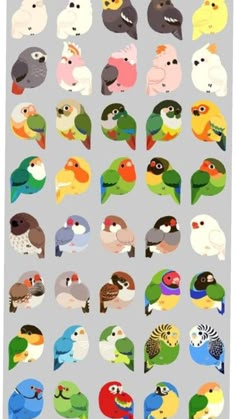 the birds are all different colors and sizes