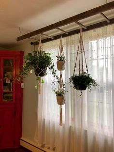 three hanging plants in front of a window with sheer curtains on the windowsills