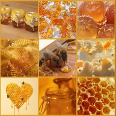 many different images of bees and honeycombs