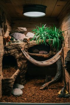 an indoor hammock with plants and rocks