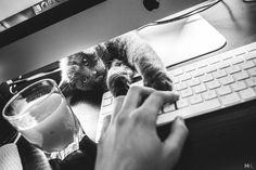 a cat laying on top of a computer keyboard next to a glass of water and a person's hand