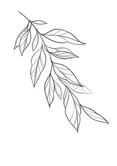 a black and white drawing of leaves