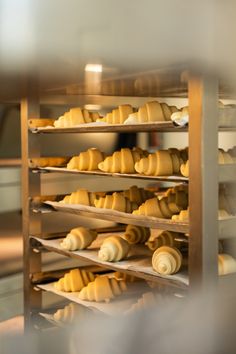 several shelves filled with lots of different types of cheese