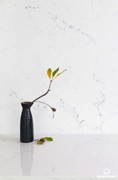 a black vase with a plant in it on a white countertop next to a marble wall