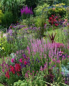 a garden filled with lots of colorful flowers