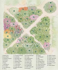 a garden plan with lots of trees and flowers on it's sides, including the names