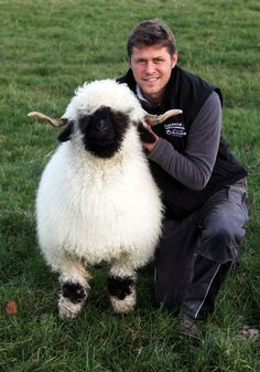 a man kneeling down next to a sheep on top of a lush green field,