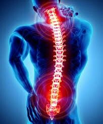 Robotic Spine, Bolesti Chrbta, Biblical Worldview, Spine Surgery, Sciatica Pain, Sciatic Nerve, Back Pain Exercises, Hip Pain