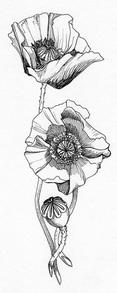 an ink drawing of two flowers on a white paper with the words,'i love you