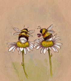 two bees sitting on top of white daisies with yellow centers and wings, facing each other