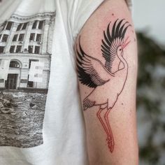 a man with a bird tattoo on his arm