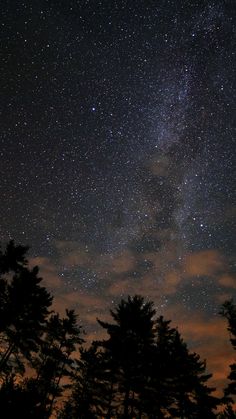 the night sky is filled with stars and trees