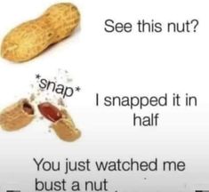 two peanuts that are next to each other with the caption, see this nut? i snapped it in half you just watched me bust at not you homo