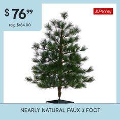 a small pine tree is on sale for $ 76 99 at jchenney com