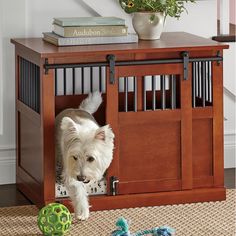 a small white dog standing in a wooden crate next to a green ball and some books