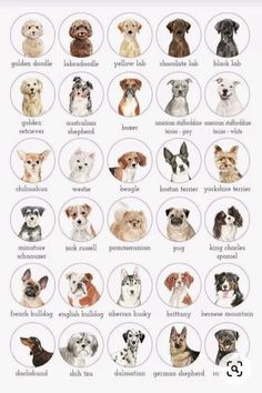 an image of dogs with names in english