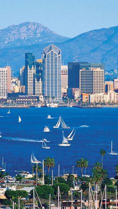 sailboats are sailing in the blue water near tall buildings and mountains with snow capped mountains in the background