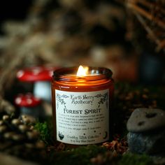 a candle that is sitting on the ground next to some rocks and moss with mushrooms around it