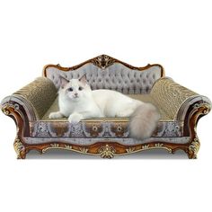 a white cat laying on top of an old style couch with gold trimmings