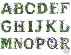 the letters are decorated with purple flowers and green grass, as well as an uppercase