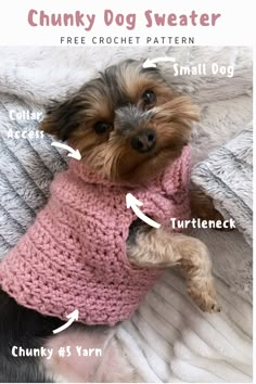 a small dog wearing a pink sweater on top of a bed with the words chunk dog sweater